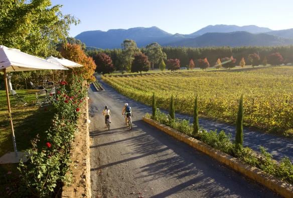 騎單車穿越維多利亞州波瑞龐卡Boyntons Feathertop Winery的葡萄園©維多利亞酒業協會