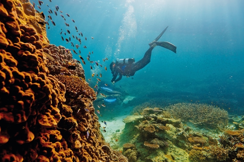 Grande Barrière de Corail, Heron Island, QLD © Paul Giggle, Tourism and Events Queensland Grande Barrière de Corail, Heron Island, QLD © Paul Giggle, Tourism and Events Queensland