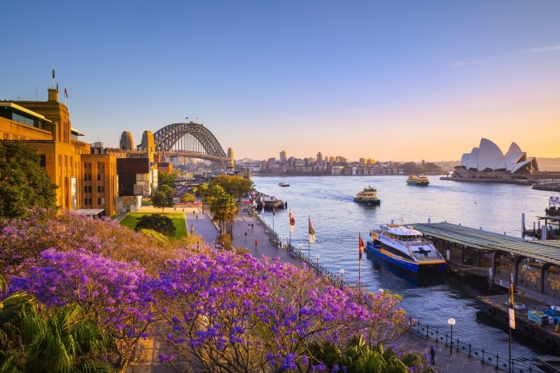 Jacarandas et Baie de Sydney au coucher du soleil, Sydney, NSW © Destination NSW Jacarandas et Baie de Sydney au coucher du soleil, Sydney, NSW © Destination NSW