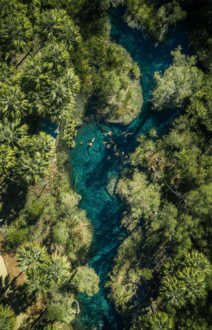 Vue aérienne d'un groupe nageant dans l'eau bleue étincelante de Bitter Springs à côté d'une canopée de palmiers, Mataranka, Territoire du Nord © Tourism NT/Jason Charles Hill Vue aérienne d'un groupe nageant dans l'eau bleue étincelante de Bitter Springs à côté d'une canopée de palmiers, Mataranka, Territoire du Nord © Tourism NT/Jason Charles Hill